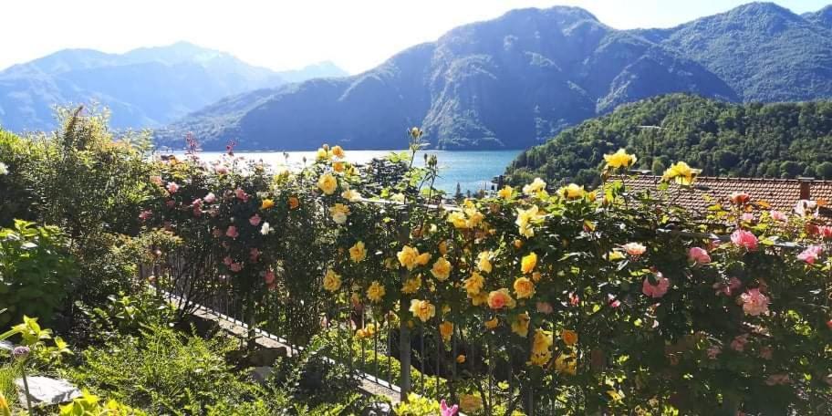 Magic Garden With Jacuzzi-Pool And Luxury Lake Como View Ленно Екстер'єр фото
