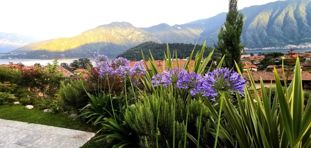 Magic Garden With Jacuzzi-Pool And Luxury Lake Como View Ленно Екстер'єр фото